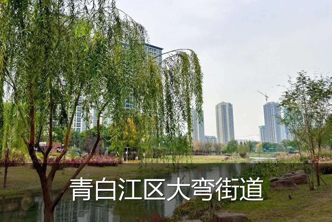 青白江区大弯街道