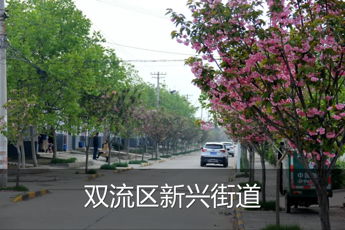 双流区新兴街道