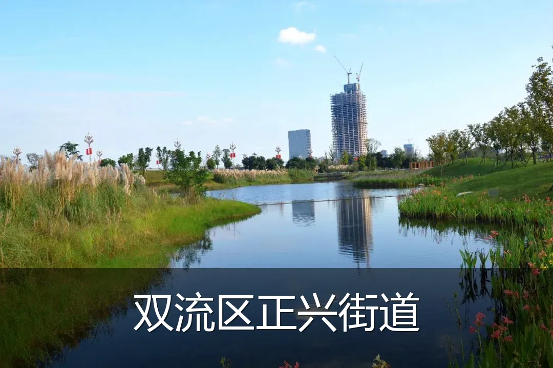 双流区正兴街道