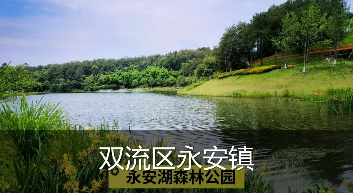 双流区永安镇