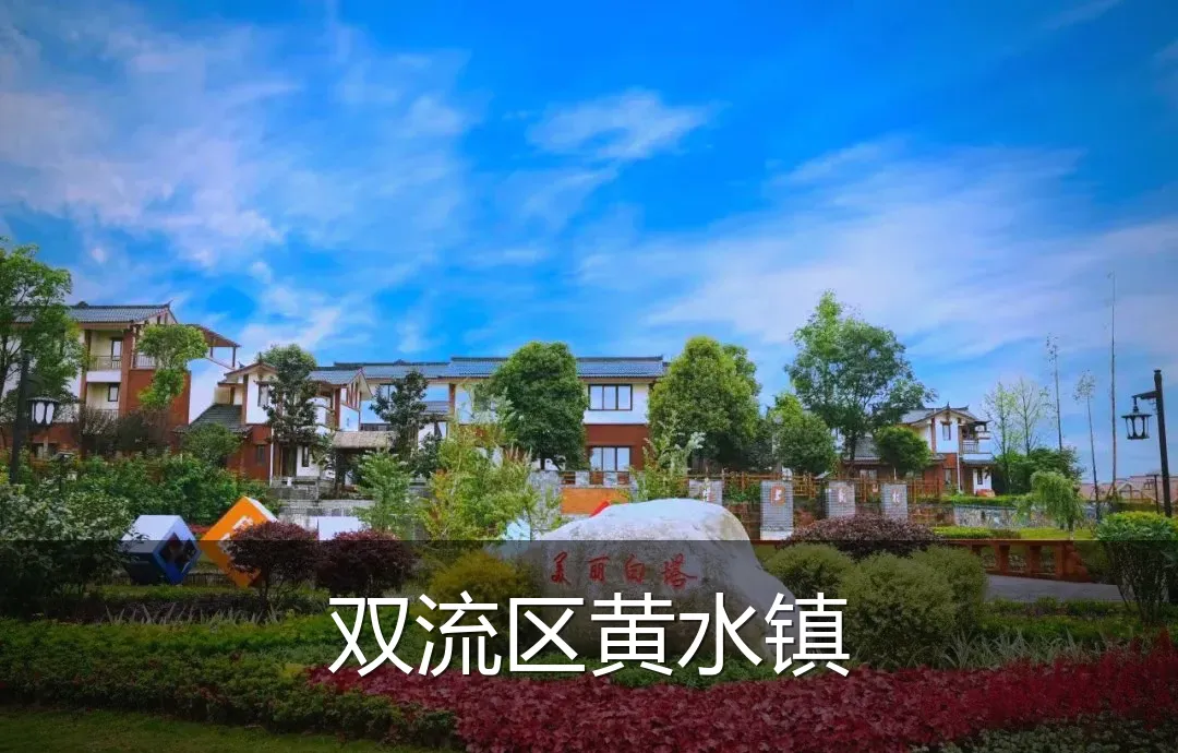 双流区黄水镇