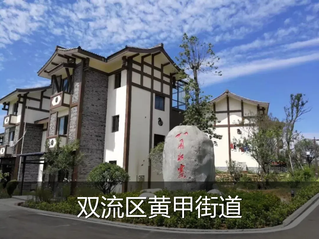 双流区黄甲街道
