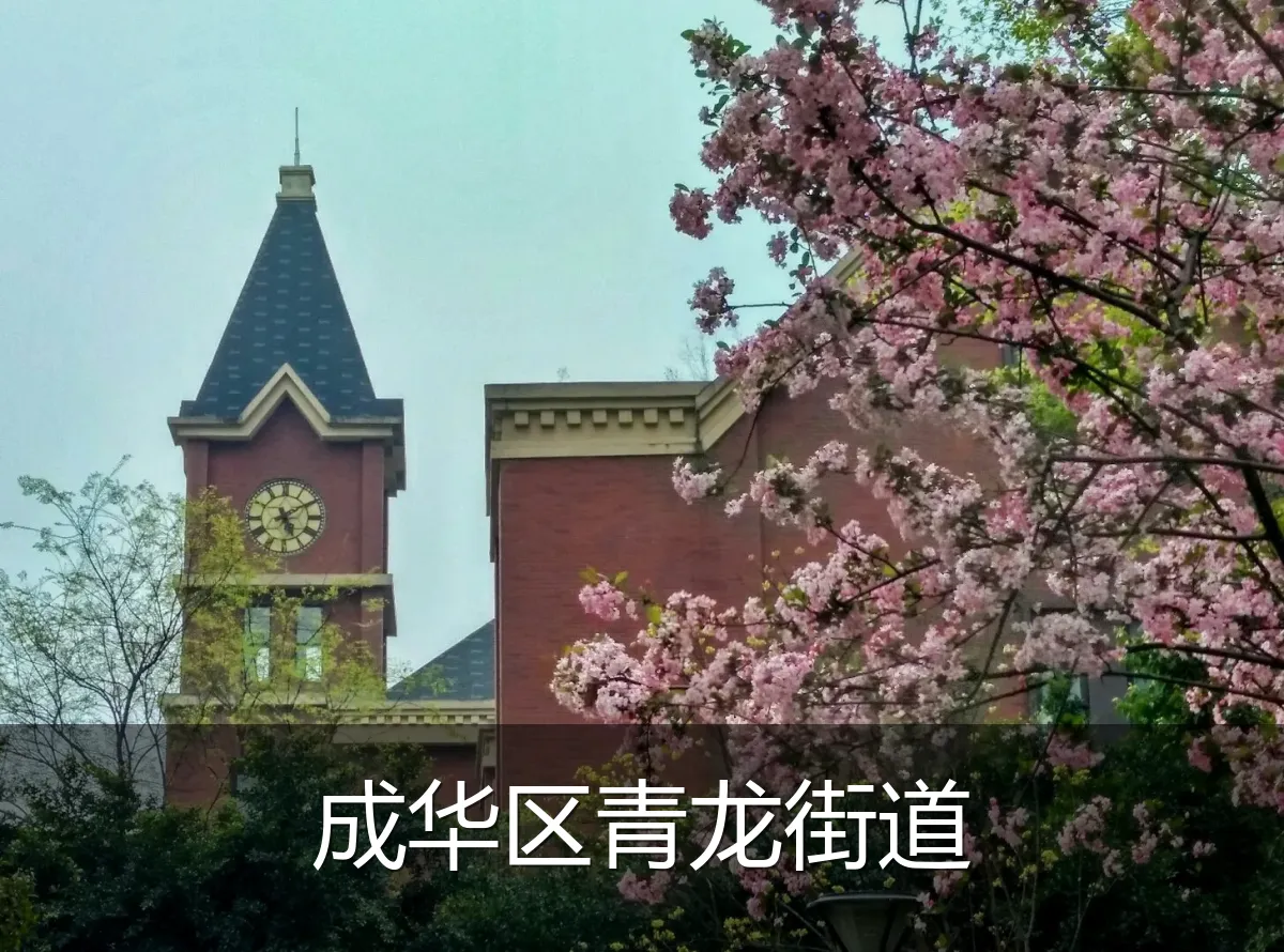 成华区青龙街道