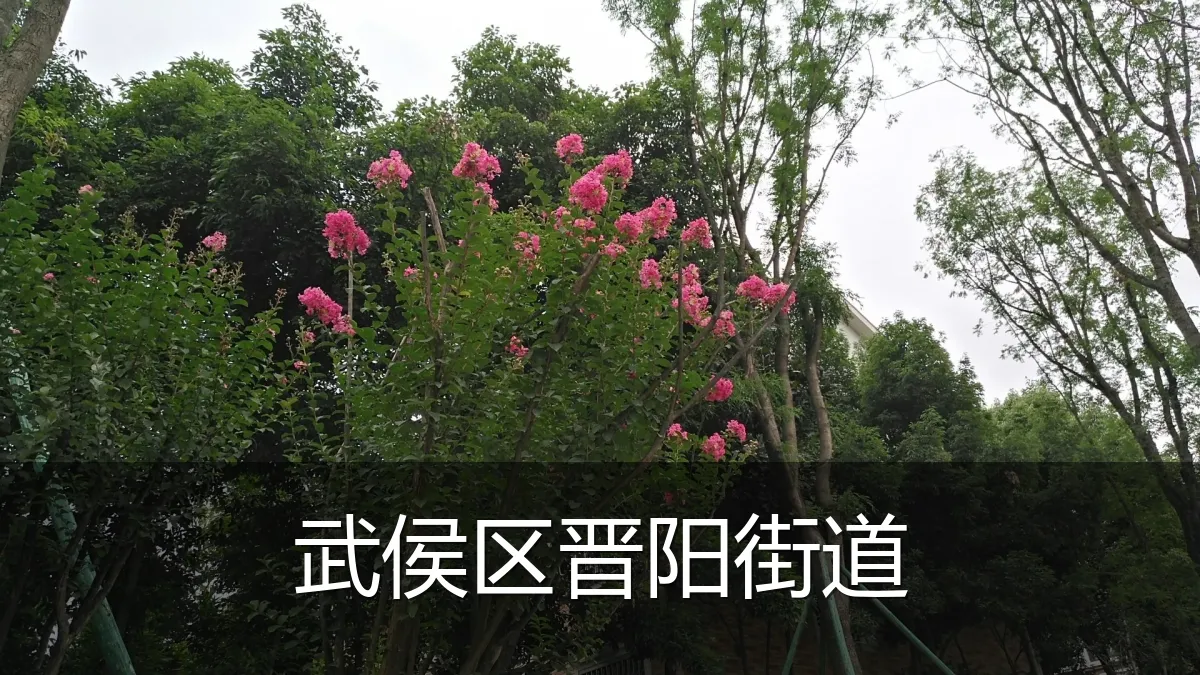 武侯区晋阳街道