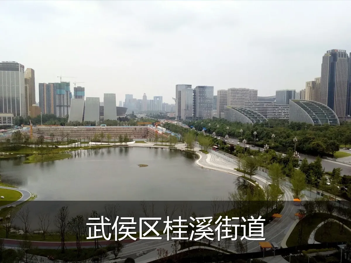 武侯区桂溪街道