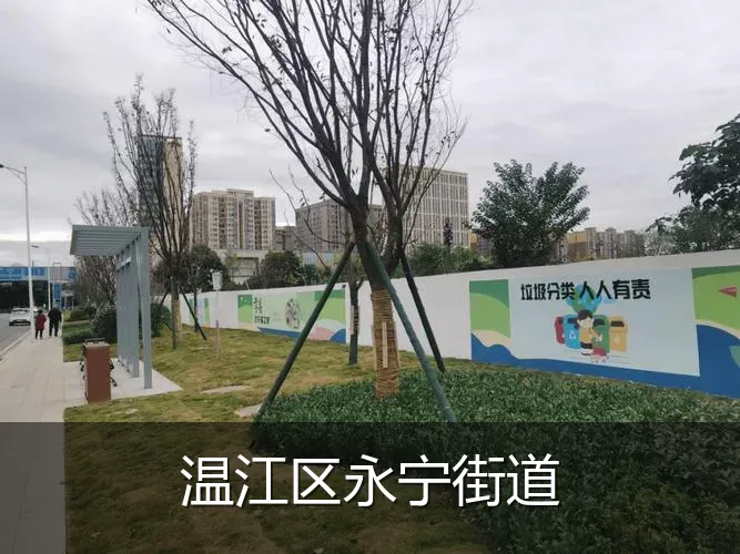 温江区永宁街道