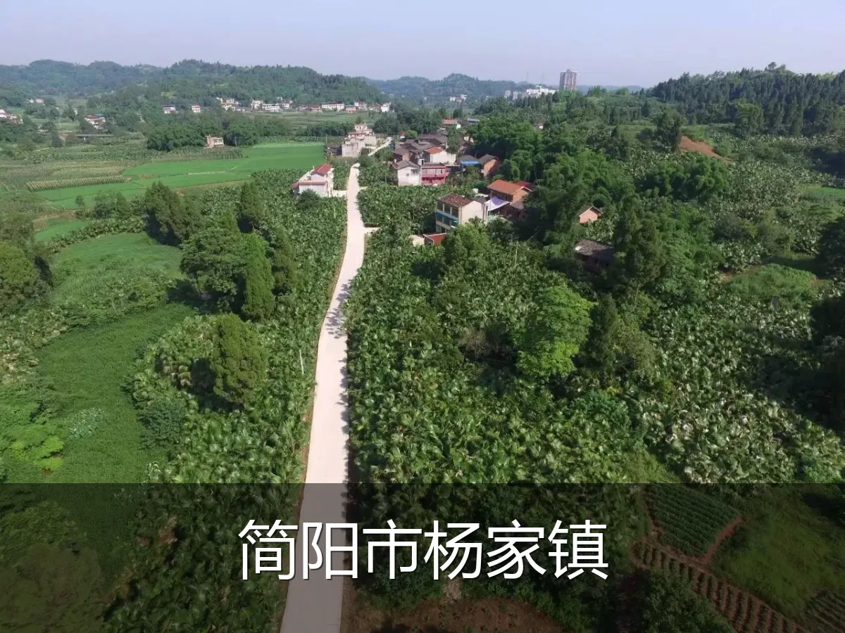简阳市杨家镇