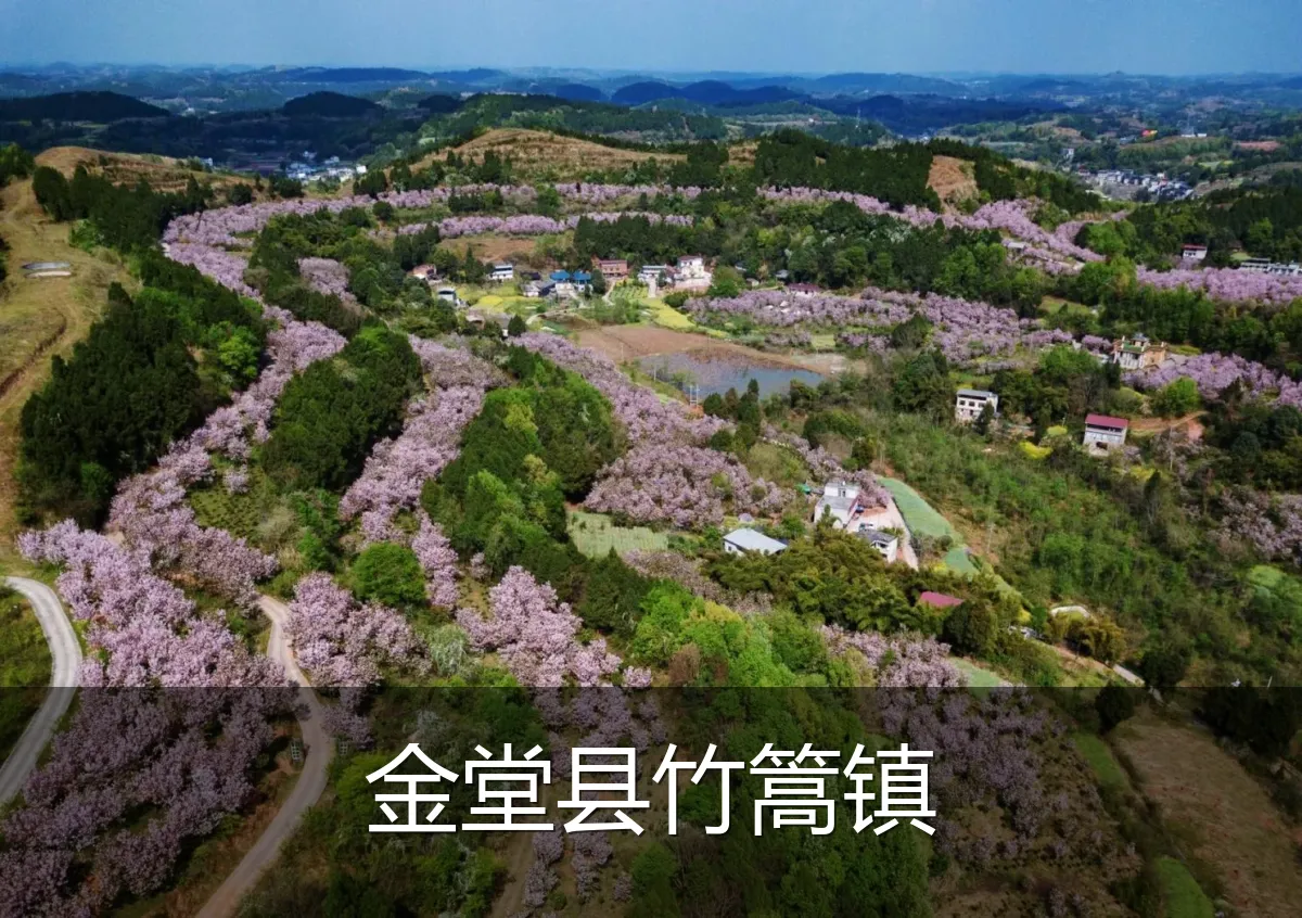 金堂县竹篙镇