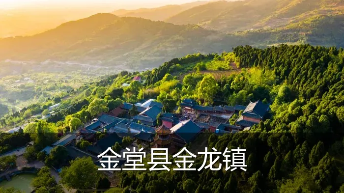 金堂县金龙镇